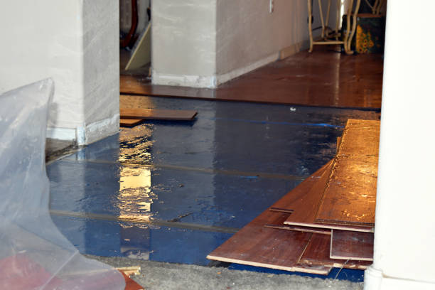 Professional Basement Flood Cleanup technician working in Chandler, IN